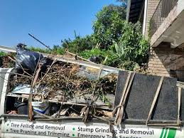 Best Attic Cleanout  in Rising Sun Lebanon, DE